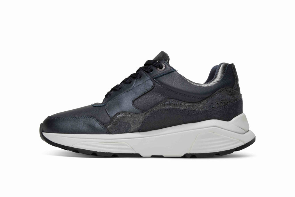 XSENSIBLE Golden Gate Sneaker